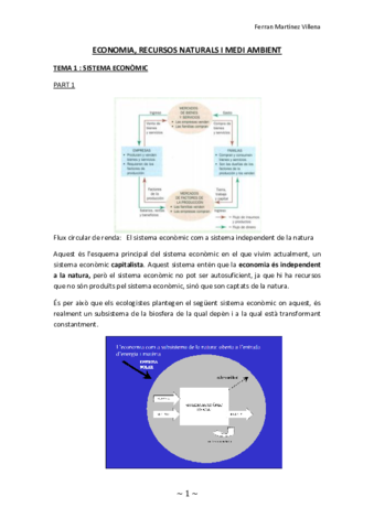 ApuntsEconomiaambientalferran.pdf