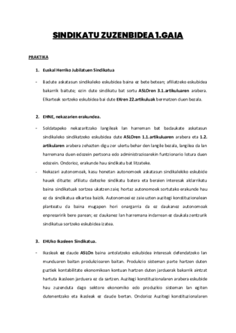 SINDIKATU-ZUZENBIDEA-1.pdf
