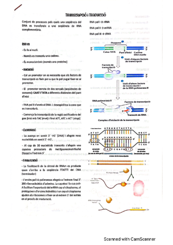 Transcipcio-i-Traduccio.pdf