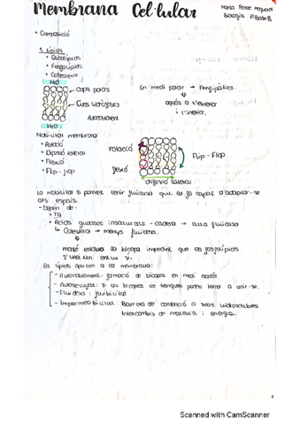 Membrana-celular.pdf