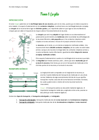 TEMA-1.pdf