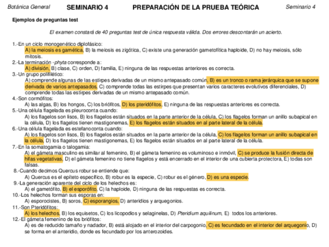 Seminario-4-Tipo-Examen.pdf