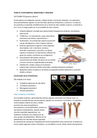 TEMA-25-PLATELMINTOS-NEMATODOS-Y-ANELIDOS.pdf