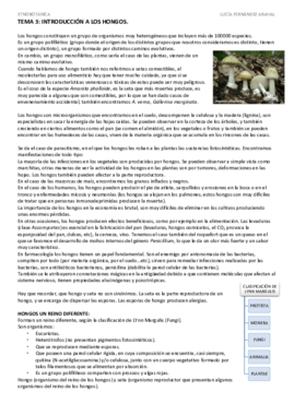 TEMA 3.pdf