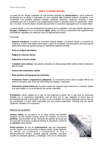 Fisio-vegetal-II-PDF.pdf