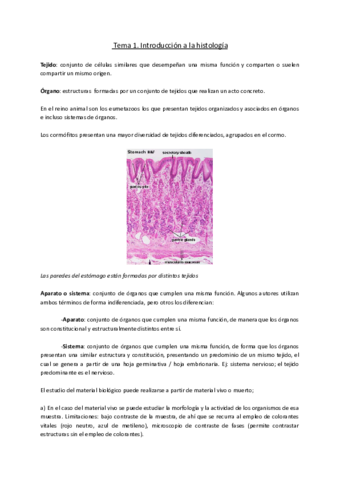 Histologia-vegetal.pdf
