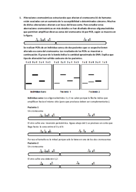 SOLUCION SERIE 5.pdf