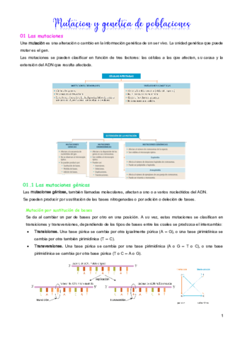 Mutaciones.pdf