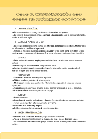 Tema 1. - Análisis Estético.pdf