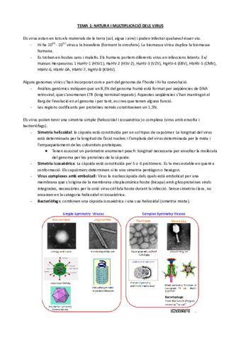 TEMA-1-NATURA-I-MULTIPLICACIO-DELS-VIRUS.pdf