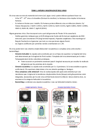 TEMA-1-NATURA-I-MULTIPLICACIO-DELS-VIRUS.pdf
