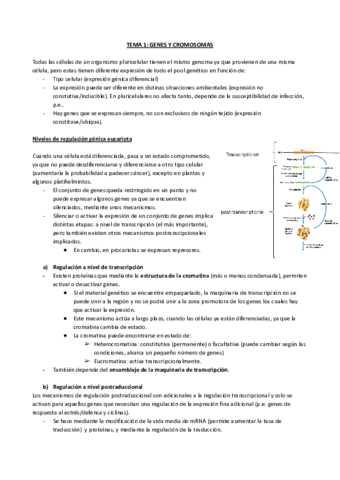 T1-GENES-Y-CROMOSOMAS.pdf