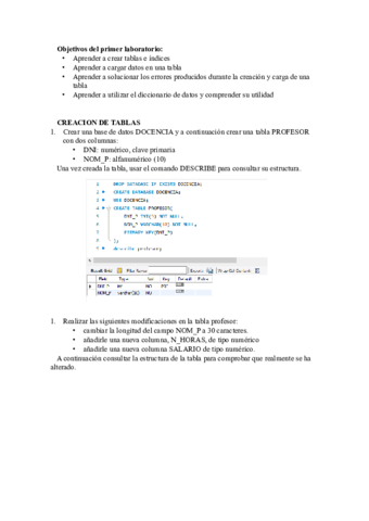 Lab1.pdf