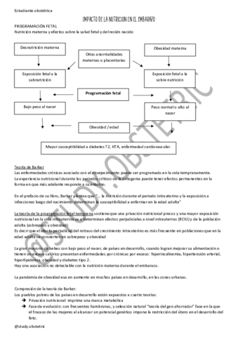 IMPACTO-DE-LA-NUTRICION-EN-EL-EMBARAZO.pdf