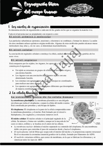 Anatomía Aplicada Bachillerato.pdf