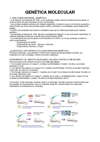 GENETICA-MOLECULAR.pdf