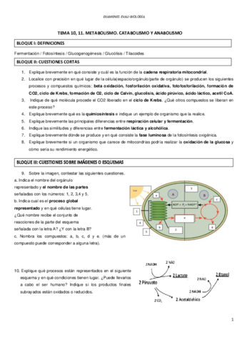 EVAU-METABOLISMO.pdf