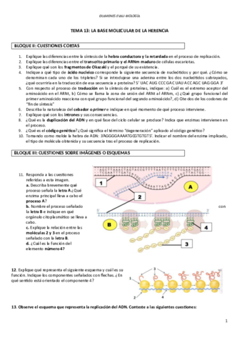 EVAU-La-base-molecular-de-la-herencia.pdf