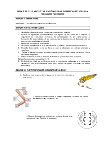 EVAU-Nucleo-y-division-celular.pdf