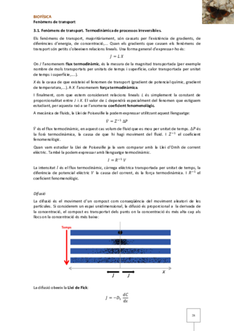 Tema7-Fenomens-de-transport.pdf
