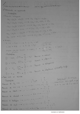 Reacciones-organicas.pdf