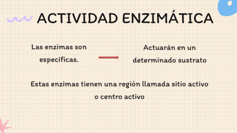 Actividad-enzimatica.pdf