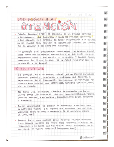 BASES-BIOLOGICAS-DE-LA-ATENCION.pdf