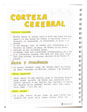 CORTEZA-CEREBRAL.pdf