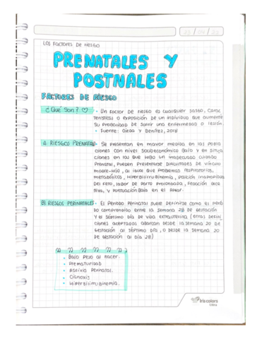 FACTORES-DE-RIESGOS-PRENATALES-Y-POSTNATALES.pdf