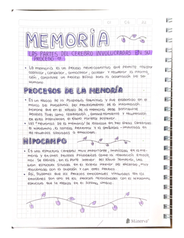 MEMORIA-LAS-PARTES-DEL-CEREBRO-INVOLUCRADAS-EN-SU-PROCESO.pdf