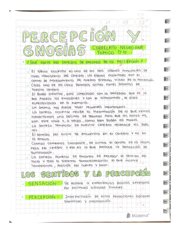 PERCEPCION-Y-GNOSIA.pdf