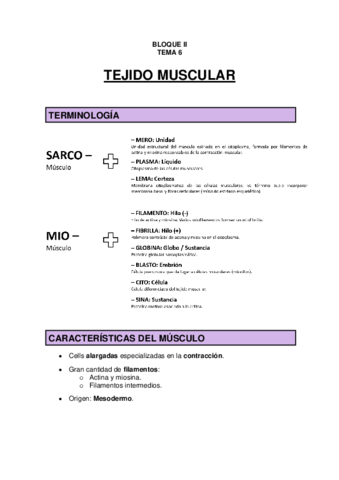 TEMA 6 - Tejido muscular.pdf
