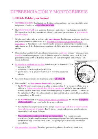 Apuntes-Tema-14.pdf