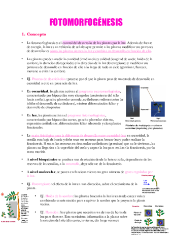 Apuntes-Tema-16.pdf