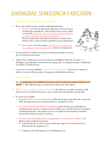 Apuntes-Tema-15.pdf