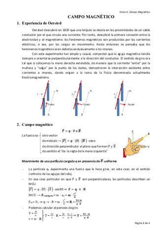 CAMPO-MAGNETICO.pdf