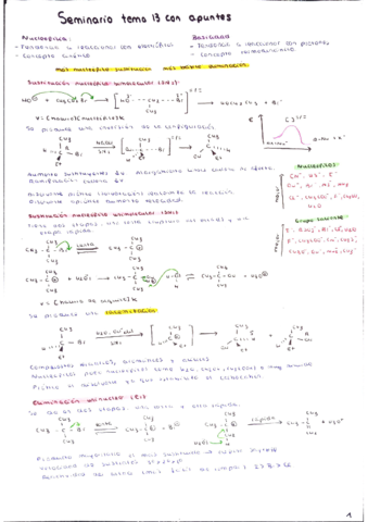 seminario-con-apuntes.pdf