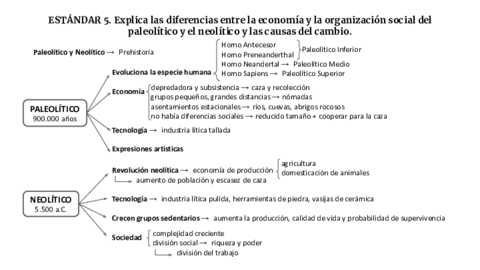 Esquema-estandares-5-9-16-20-24-26.pdf