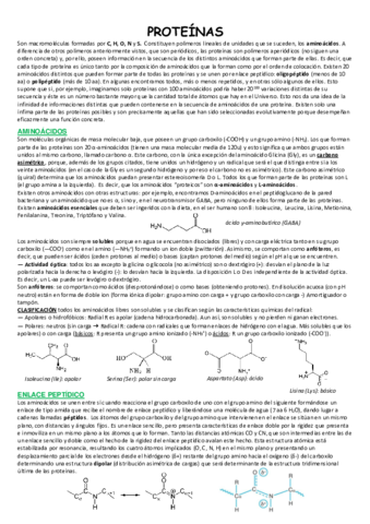 PROTEINAS.pdf