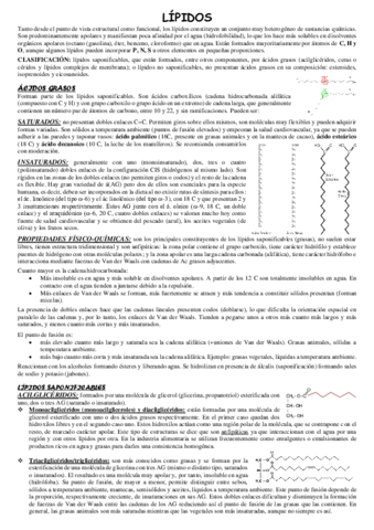 LIPIDOS.pdf
