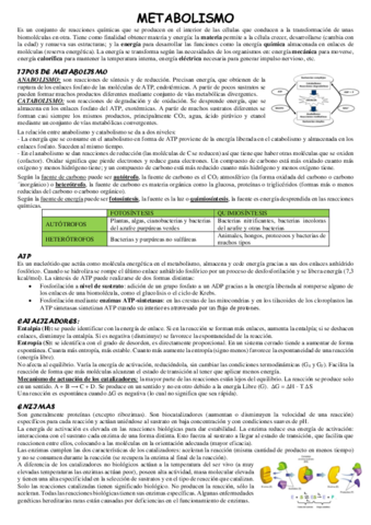Metabolismo.pdf