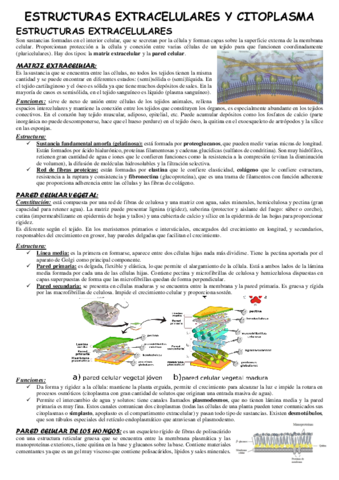 Celula-eucariota-Estructuras-extracelulares-y-el-citoplasma.pdf