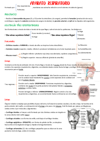 Apto-respiratorio.pdf