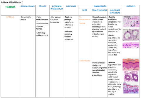 Cuadro-de-tejidos.pdf