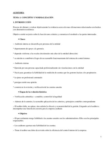 Temas de auditoría.pdf