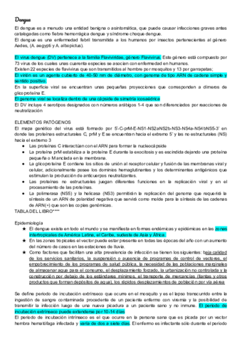 Dengue-resumen.pdf