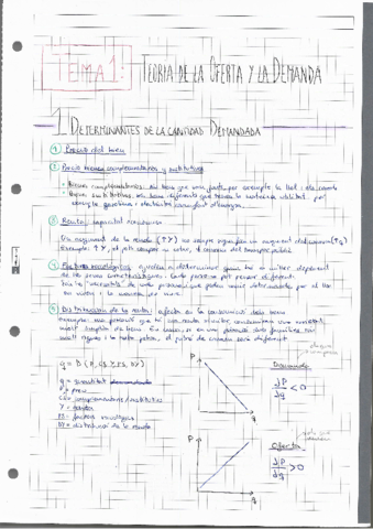 Apunts-economia.pdf