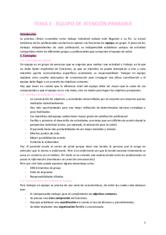 TEMA-2-EQUIPO-DE-ATENCION-PRIMARIA.pdf