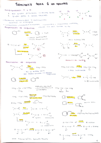 seminario-con-apuntes-tema-6.pdf