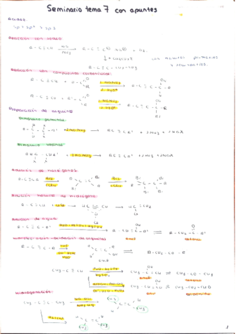 seminario-con-apuntes-tema-7.pdf